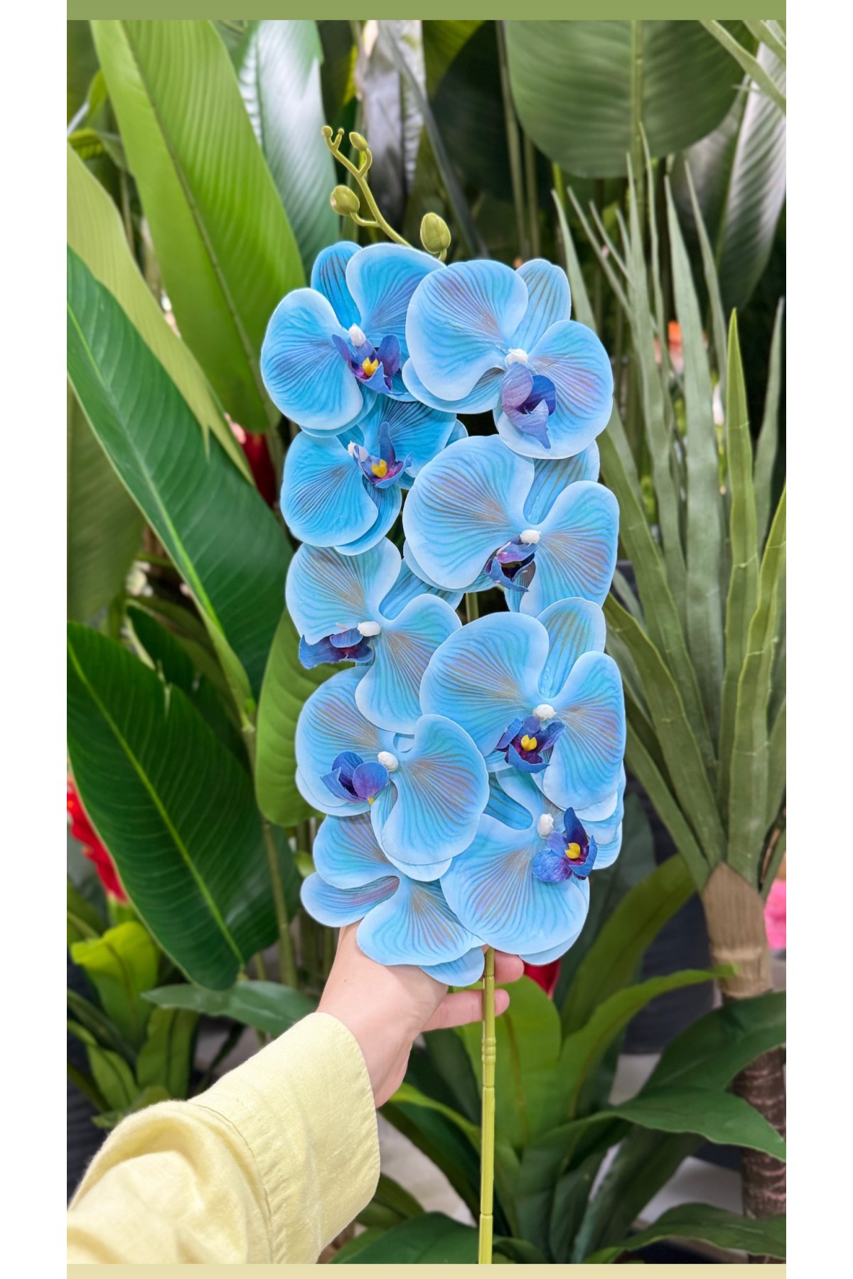 Tek Dal Islak Dokulu Orkide