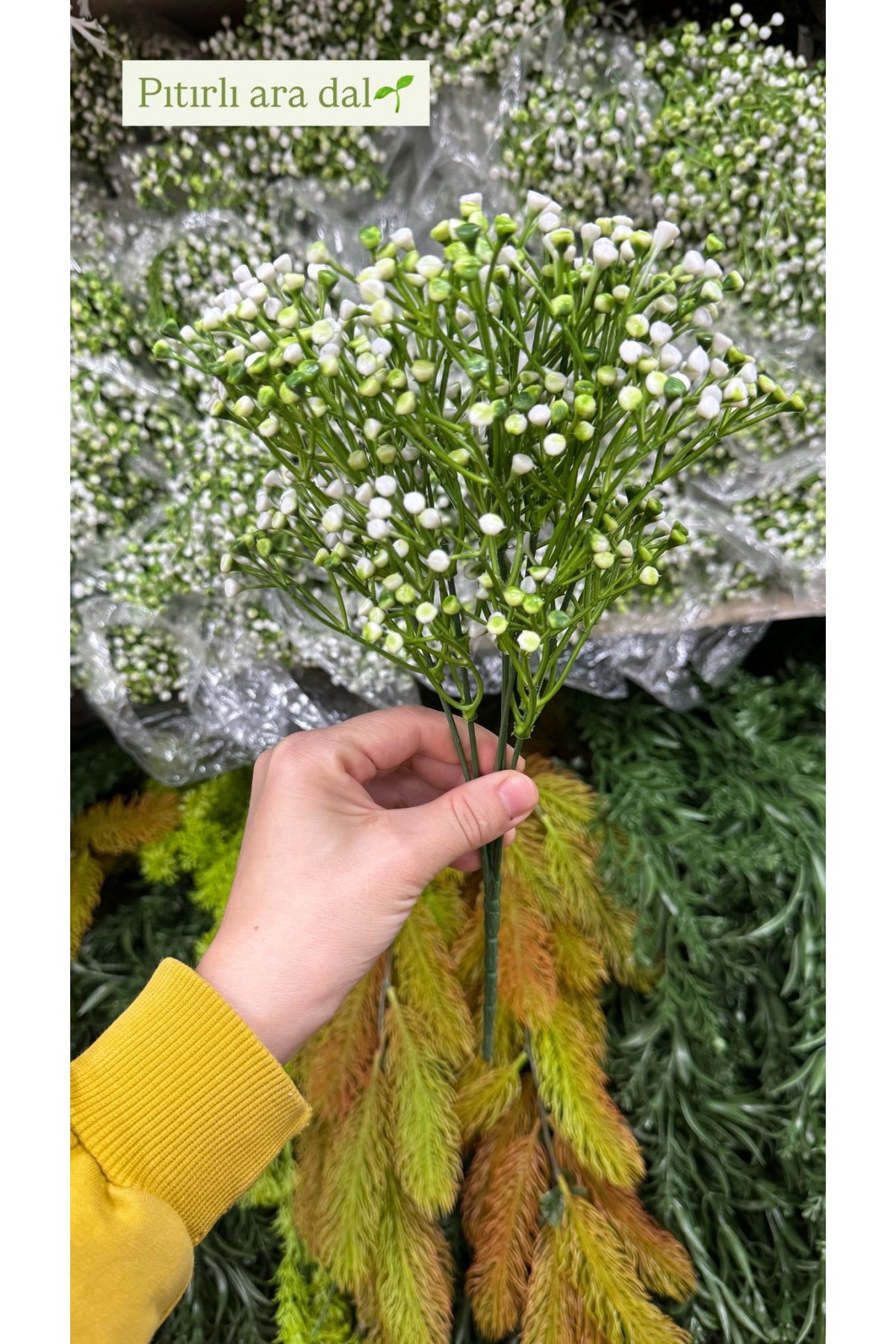 5 DALLI BEYAZ MİNİ PITIRCIKLI DEMET (P)