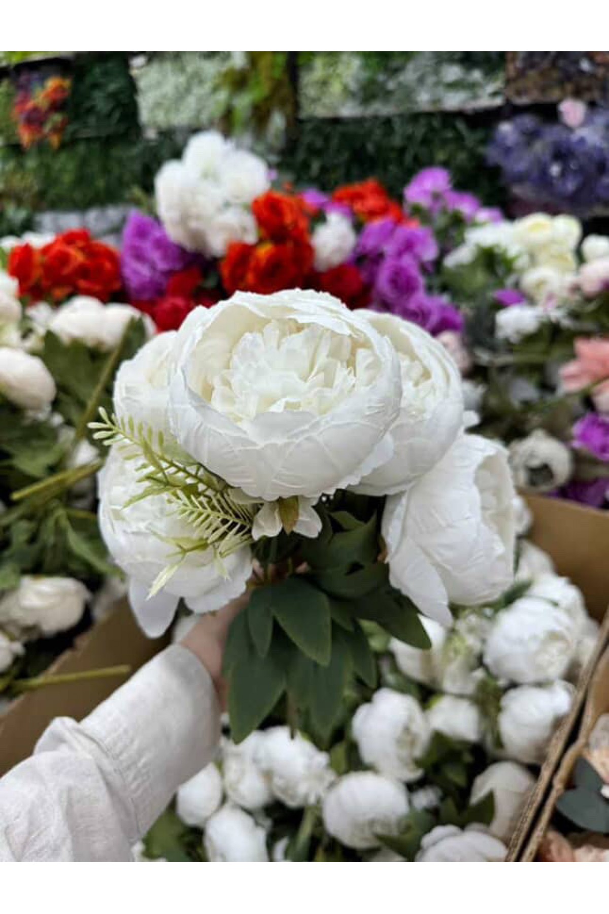 5 DALLI LÜX ŞAKAYIK DEMETİ (P)