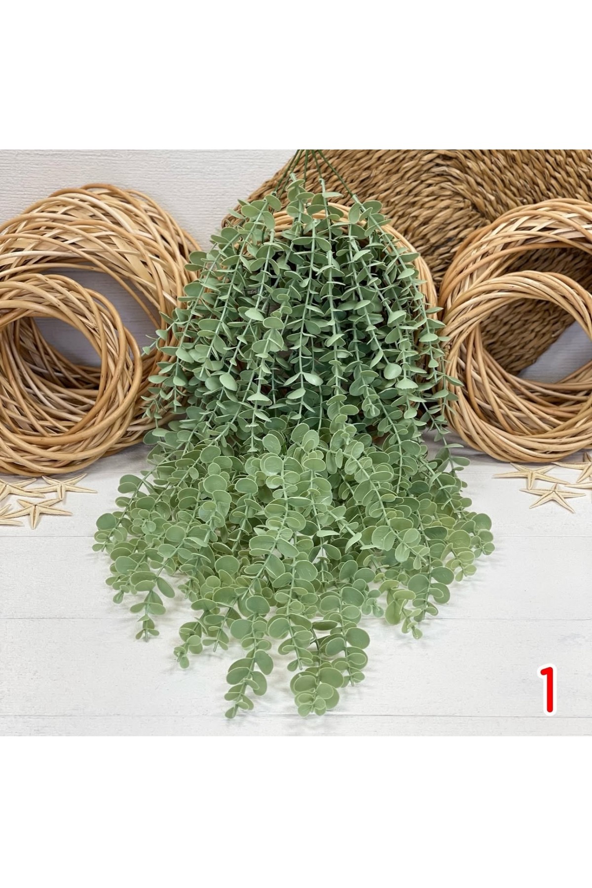 OKALİPTUS SARKAN YENİ (P)