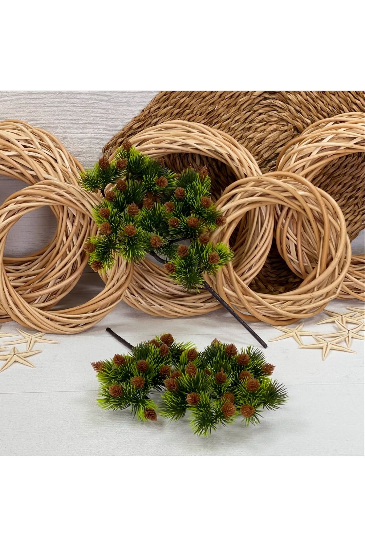 TEK DAL KOZALAK ÇAM DEMETİ (P)