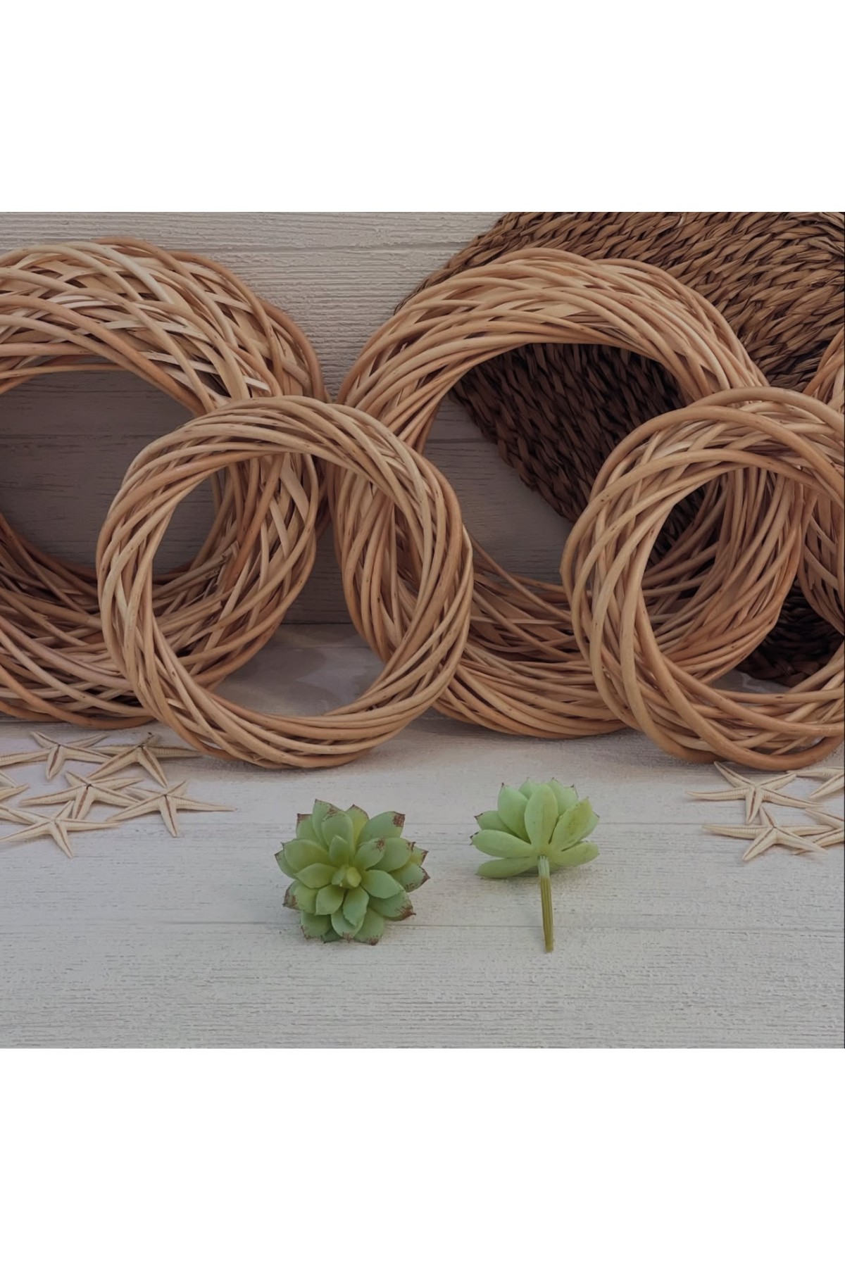 KAHVE YEŞİL SUKULENT (P)