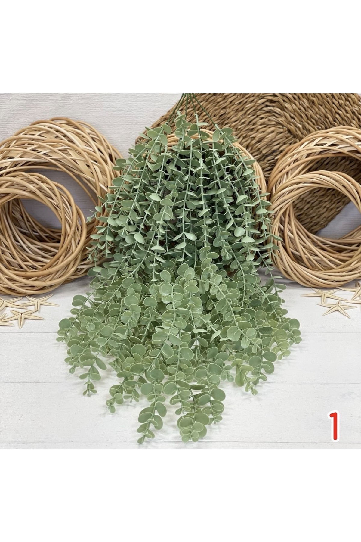 9 DALLI SARKAN OKALİPTÜS (P)