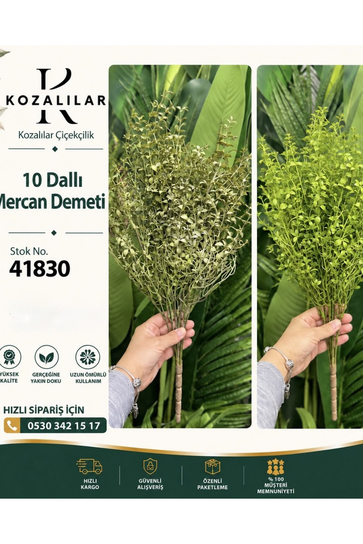 10 DALLI MERCAN DEMETİ